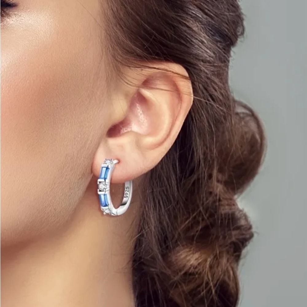 925 Sterling Silver Earrings